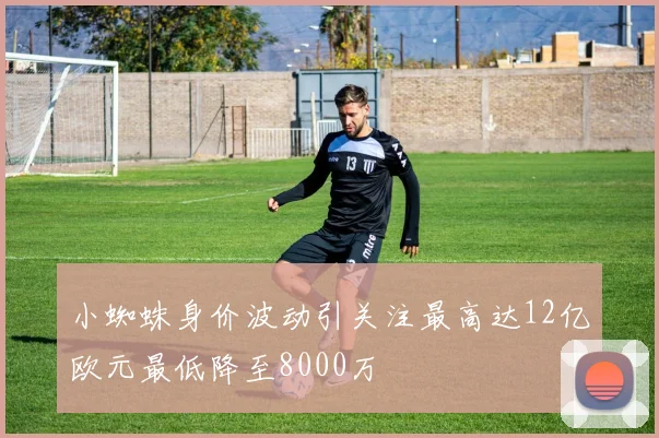 小蜘蛛身价波动引关注最高达12亿欧元最低降至8000万